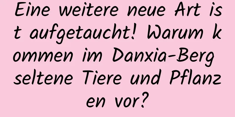 Eine weitere neue Art ist aufgetaucht! Warum kommen im Danxia-Berg seltene Tiere und Pflanzen vor?