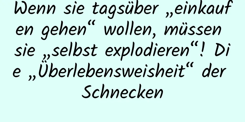Wenn sie tagsüber „einkaufen gehen“ wollen, müssen sie „selbst explodieren“! Die „Überlebensweisheit“ der Schnecken