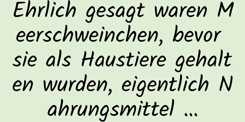 Ehrlich gesagt waren Meerschweinchen, bevor sie als Haustiere gehalten wurden, eigentlich Nahrungsmittel …