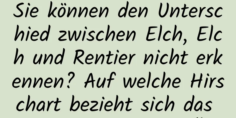 Sie können den Unterschied zwischen Elch, Elch und Rentier nicht erkennen? Auf welche Hirschart bezieht sich das englische Wort „elk“?