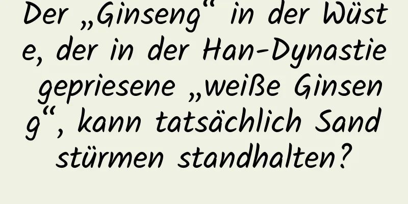 Der „Ginseng“ in der Wüste, der in der Han-Dynastie gepriesene „weiße Ginseng“, kann tatsächlich Sandstürmen standhalten?