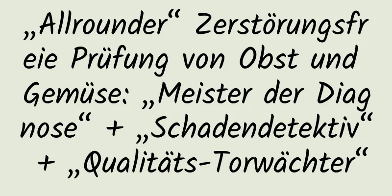 „Allrounder“ Zerstörungsfreie Prüfung von Obst und Gemüse: „Meister der Diagnose“ + „Schadendetektiv“ + „Qualitäts-Torwächter“