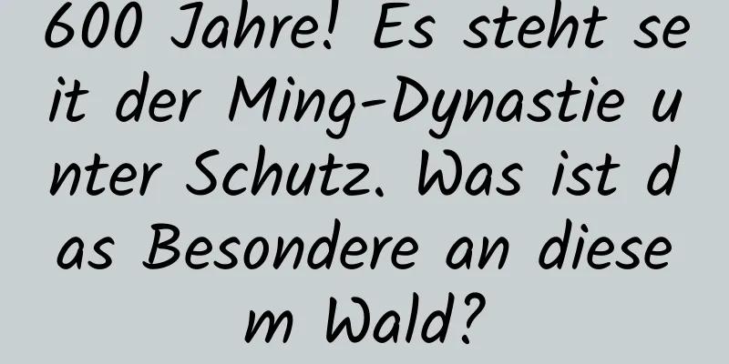 600 Jahre! Es steht seit der Ming-Dynastie unter Schutz. Was ist das Besondere an diesem Wald?