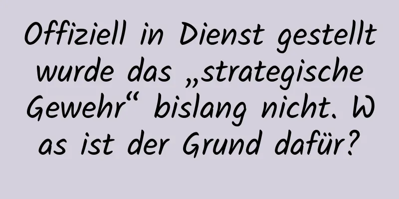 Offiziell in Dienst gestellt wurde das „strategische Gewehr“ bislang nicht. Was ist der Grund dafür?