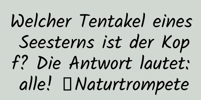 Welcher Tentakel eines Seesterns ist der Kopf? Die Antwort lautet: alle! ｜Naturtrompete