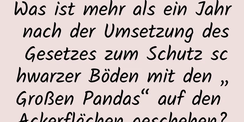 Was ist mehr als ein Jahr nach der Umsetzung des Gesetzes zum Schutz schwarzer Böden mit den „Großen Pandas“ auf den Ackerflächen geschehen?