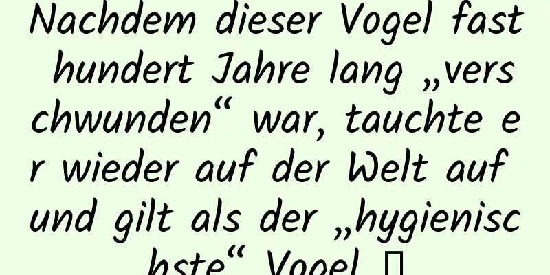 Nachdem dieser Vogel fast hundert Jahre lang „verschwunden“ war, tauchte er wieder auf der Welt auf und gilt als der „hygienischste“ Vogel →