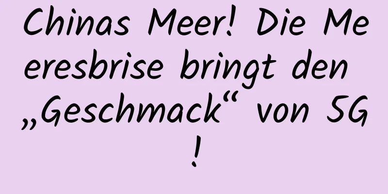 Chinas Meer! Die Meeresbrise bringt den „Geschmack“ von 5G!