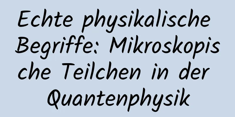 Echte physikalische Begriffe: Mikroskopische Teilchen in der Quantenphysik