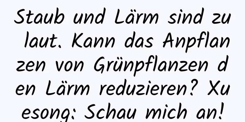 Staub und Lärm sind zu laut. Kann das Anpflanzen von Grünpflanzen den Lärm reduzieren? Xuesong: Schau mich an!
