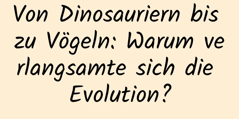 Von Dinosauriern bis zu Vögeln: Warum verlangsamte sich die Evolution?