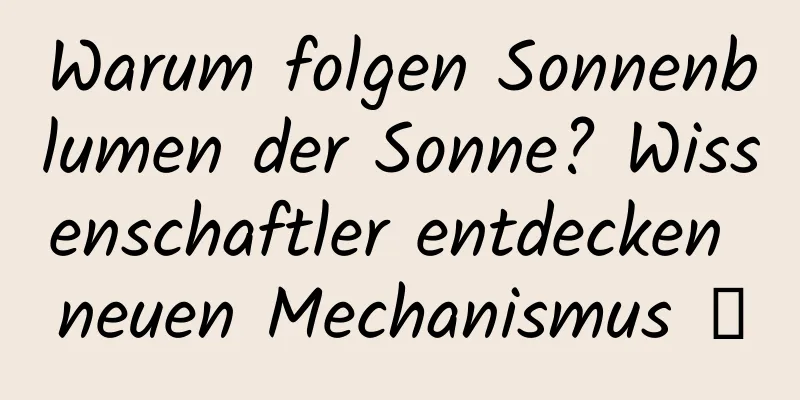 Warum folgen Sonnenblumen der Sonne? Wissenschaftler entdecken neuen Mechanismus →
