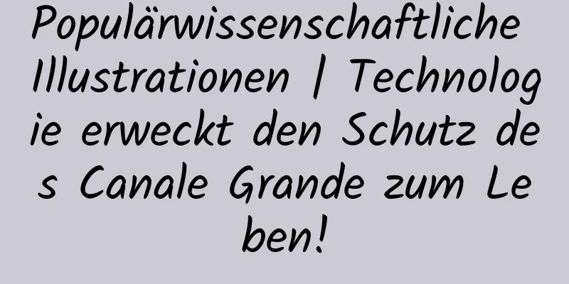 Populärwissenschaftliche Illustrationen | Technologie erweckt den Schutz des Canale Grande zum Leben!