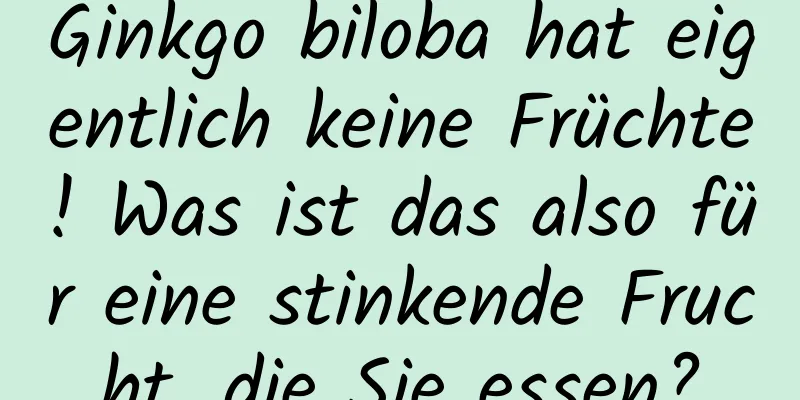 Ginkgo biloba hat eigentlich keine Früchte! Was ist das also für eine stinkende Frucht, die Sie essen?