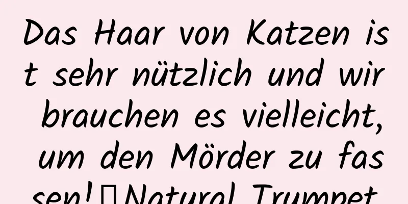 Das Haar von Katzen ist sehr nützlich und wir brauchen es vielleicht, um den Mörder zu fassen!丨Natural Trumpet