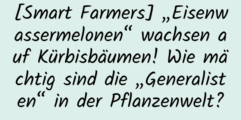 [Smart Farmers] „Eisenwassermelonen“ wachsen auf Kürbisbäumen! Wie mächtig sind die „Generalisten“ in der Pflanzenwelt?