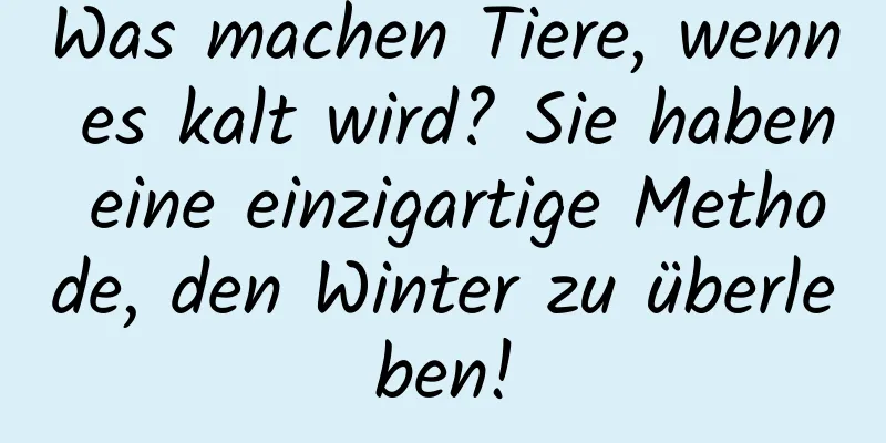 Was machen Tiere, wenn es kalt wird? Sie haben eine einzigartige Methode, den Winter zu überleben!