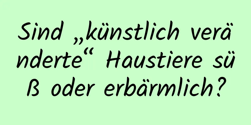 Sind „künstlich veränderte“ Haustiere süß oder erbärmlich?