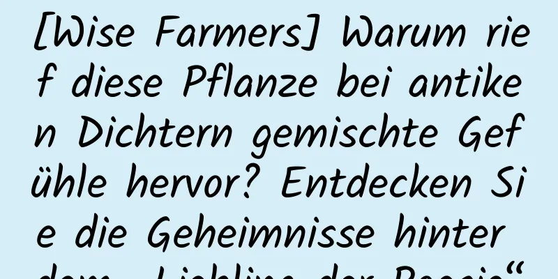 [Wise Farmers] Warum rief diese Pflanze bei antiken Dichtern gemischte Gefühle hervor? Entdecken Sie die Geheimnisse hinter dem „Liebling der Poesie“