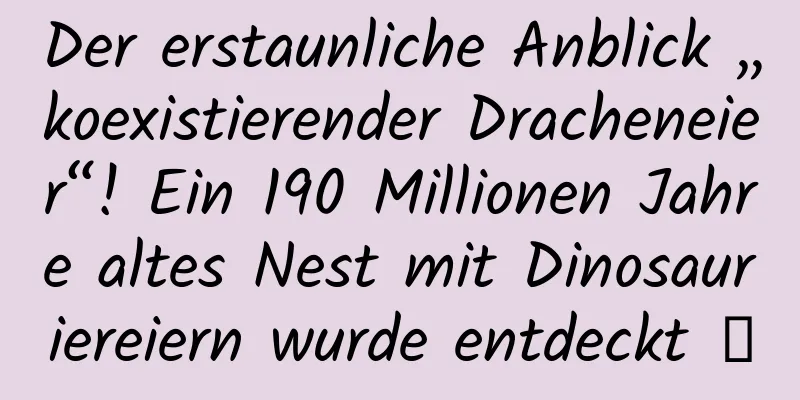 Der erstaunliche Anblick „koexistierender Dracheneier“! Ein 190 Millionen Jahre altes Nest mit Dinosauriereiern wurde entdeckt →