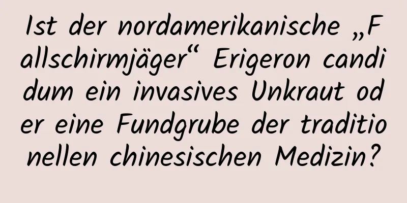 Ist der nordamerikanische „Fallschirmjäger“ Erigeron candidum ein invasives Unkraut oder eine Fundgrube der traditionellen chinesischen Medizin?