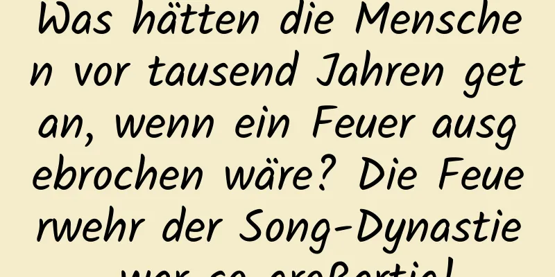 Was hätten die Menschen vor tausend Jahren getan, wenn ein Feuer ausgebrochen wäre? Die Feuerwehr der Song-Dynastie war so großartig!