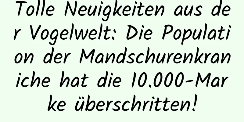 Tolle Neuigkeiten aus der Vogelwelt: Die Population der Mandschurenkraniche hat die 10.000-Marke überschritten!