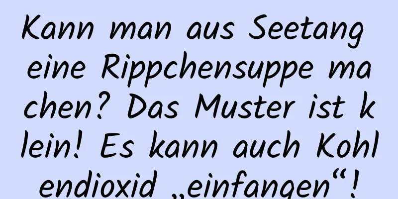 Kann man aus Seetang eine Rippchensuppe machen? Das Muster ist klein! Es kann auch Kohlendioxid „einfangen“!