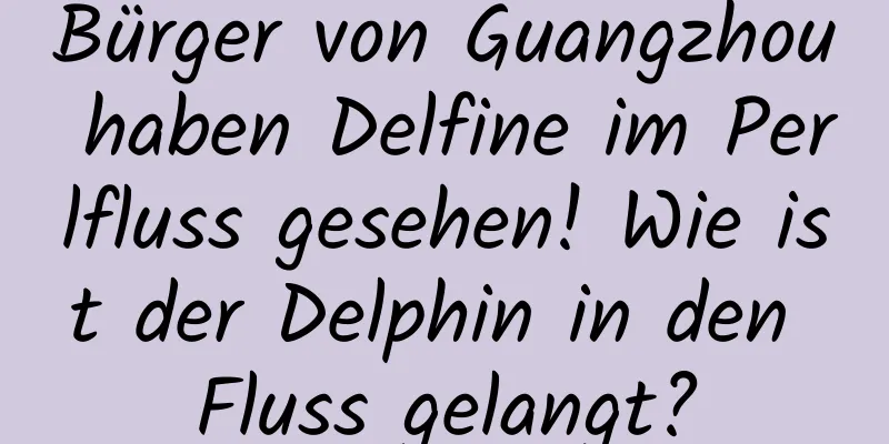 Bürger von Guangzhou haben Delfine im Perlfluss gesehen! Wie ist der Delphin in den Fluss gelangt?