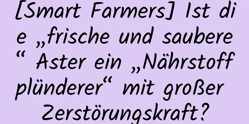 [Smart Farmers] Ist die „frische und saubere“ Aster ein „Nährstoffplünderer“ mit großer Zerstörungskraft?