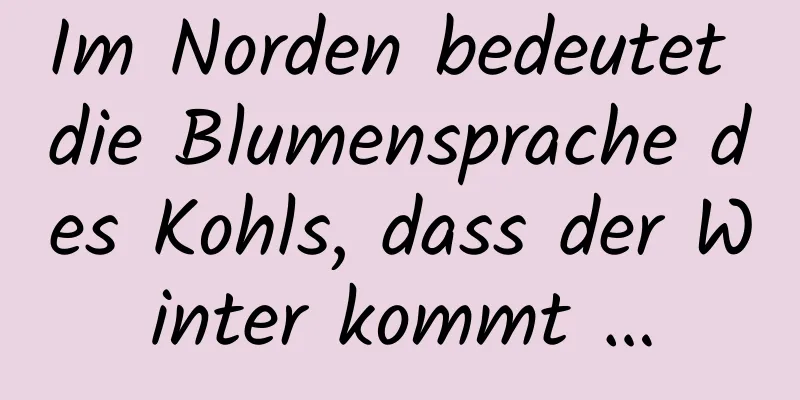 Im Norden bedeutet die Blumensprache des Kohls, dass der Winter kommt …