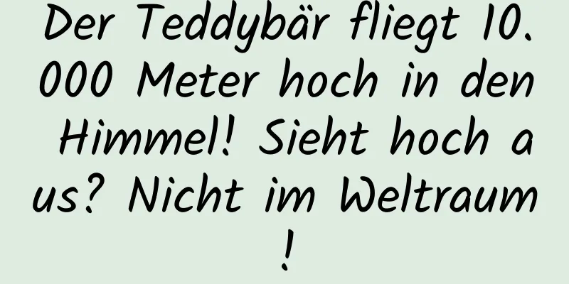 Der Teddybär fliegt 10.000 Meter hoch in den Himmel! Sieht hoch aus? Nicht im Weltraum!