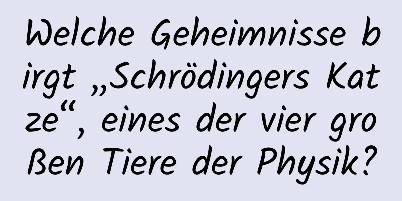 Welche Geheimnisse birgt „Schrödingers Katze“, eines der vier großen Tiere der Physik?