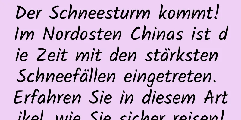 Der Schneesturm kommt! Im Nordosten Chinas ist die Zeit mit den stärksten Schneefällen eingetreten. Erfahren Sie in diesem Artikel, wie Sie sicher reisen!