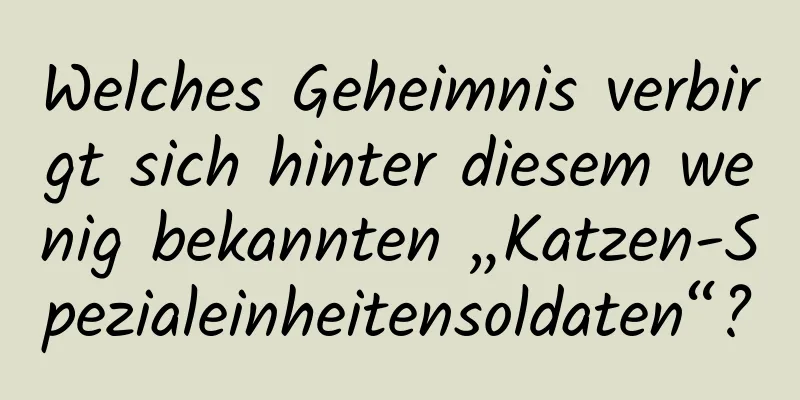 Welches Geheimnis verbirgt sich hinter diesem wenig bekannten „Katzen-Spezialeinheitensoldaten“?