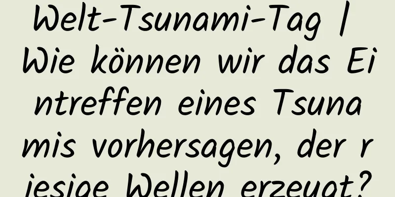 Welt-Tsunami-Tag | Wie können wir das Eintreffen eines Tsunamis vorhersagen, der riesige Wellen erzeugt?