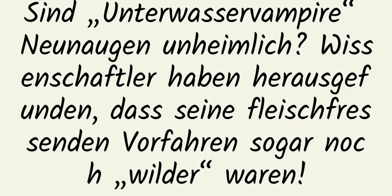 Sind „Unterwasservampire“ Neunaugen unheimlich? Wissenschaftler haben herausgefunden, dass seine fleischfressenden Vorfahren sogar noch „wilder“ waren!