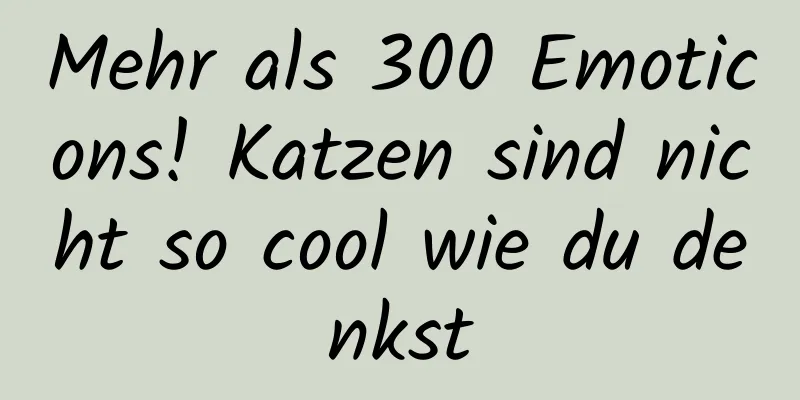 Mehr als 300 Emoticons! Katzen sind nicht so cool wie du denkst