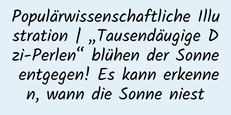 Populärwissenschaftliche Illustration | „Tausendäugige Dzi-Perlen“ blühen der Sonne entgegen! Es kann erkennen, wann die Sonne niest