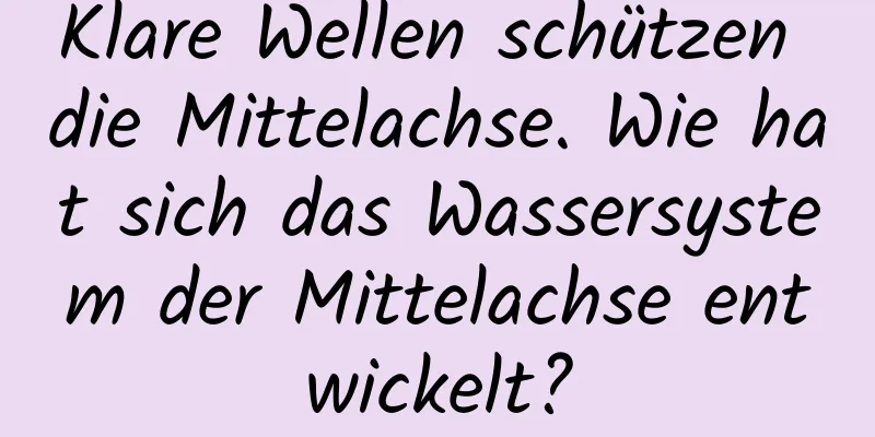 Klare Wellen schützen die Mittelachse. Wie hat sich das Wassersystem der Mittelachse entwickelt?