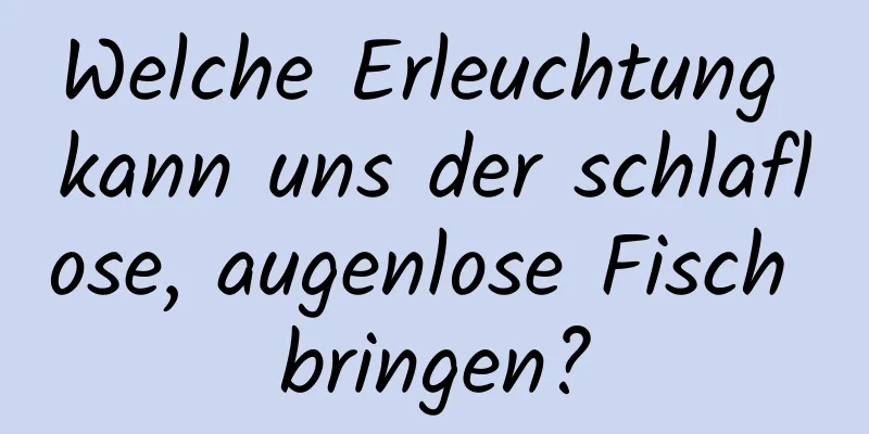 Welche Erleuchtung kann uns der schlaflose, augenlose Fisch bringen?