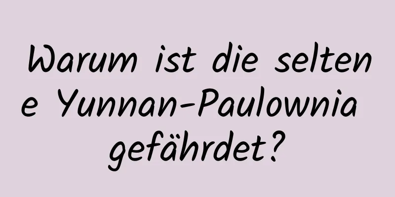Warum ist die seltene Yunnan-Paulownia gefährdet?