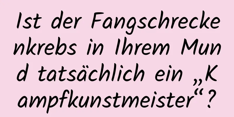 Ist der Fangschreckenkrebs in Ihrem Mund tatsächlich ein „Kampfkunstmeister“?