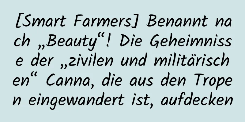 [Smart Farmers] Benannt nach „Beauty“! Die Geheimnisse der „zivilen und militärischen“ Canna, die aus den Tropen eingewandert ist, aufdecken