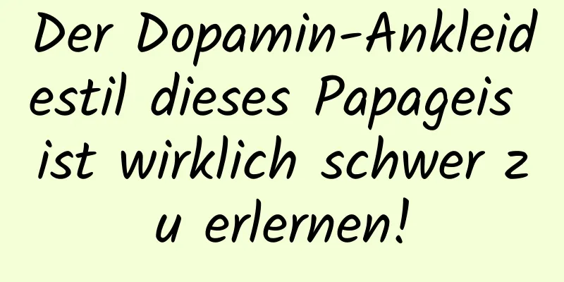 Der Dopamin-Ankleidestil dieses Papageis ist wirklich schwer zu erlernen!