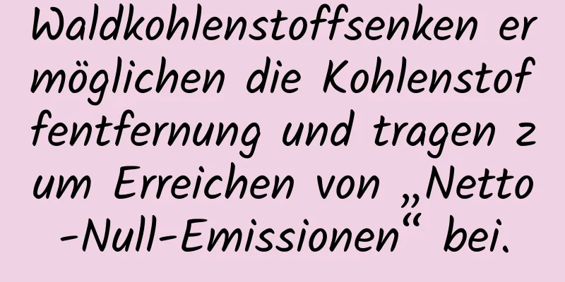 Waldkohlenstoffsenken ermöglichen die Kohlenstoffentfernung und tragen zum Erreichen von „Netto-Null-Emissionen“ bei.