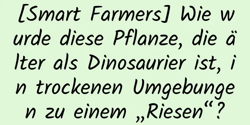 [Smart Farmers] Wie wurde diese Pflanze, die älter als Dinosaurier ist, in trockenen Umgebungen zu einem „Riesen“?