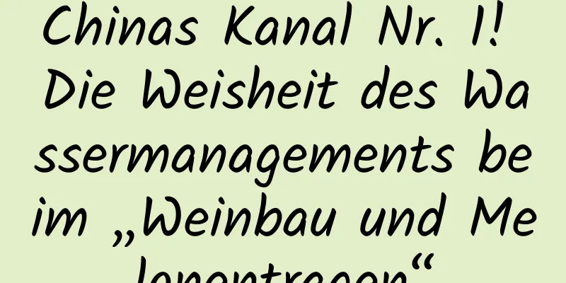 Chinas Kanal Nr. 1! Die Weisheit des Wassermanagements beim „Weinbau und Melonentragen“