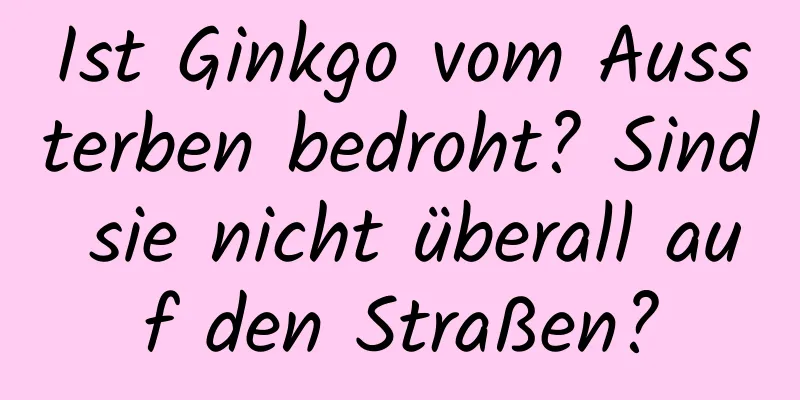 Ist Ginkgo vom Aussterben bedroht? Sind sie nicht überall auf den Straßen?