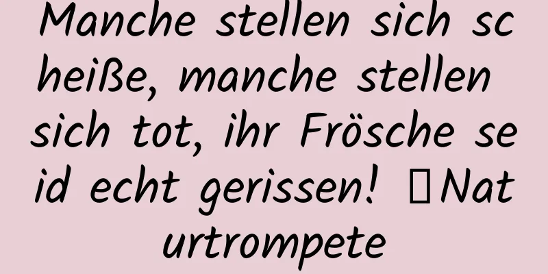 Manche stellen sich scheiße, manche stellen sich tot, ihr Frösche seid echt gerissen! ｜Naturtrompete